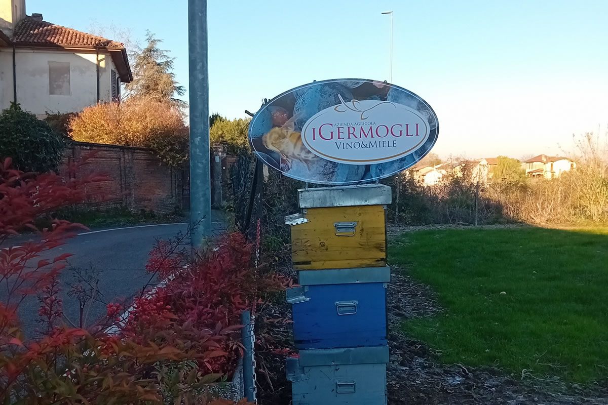Cartello I Germogli Vino & Miele con arnie. Strada, vegetazione autunnale e case sullo sfondo.