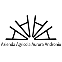 Logo nero su sfondo nero.