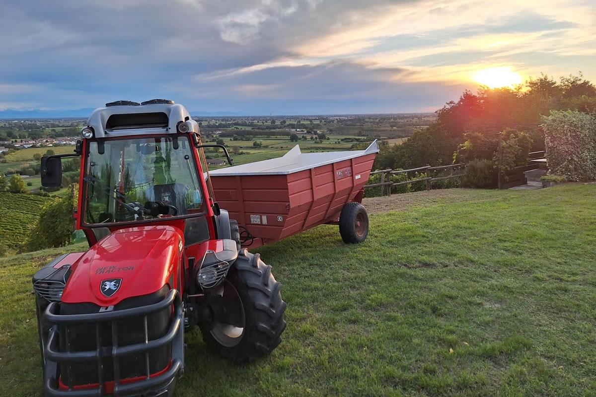 Trattore rosso con rimorchio in un vigneto al tramonto. Paesaggio collinare, cielo nuvoloso e sole. Faverzani.