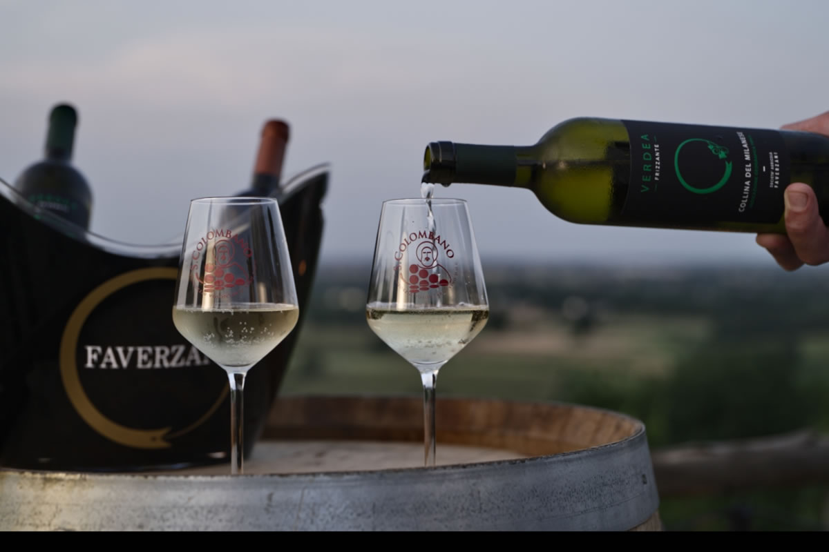 Vino bianco frizzante versato in calici. Bottiglia Verdea, logo Faverzani. Vista vigneto.